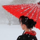 Dù giấy Wagasa gắn liền với vẻ đẹp truyền thống